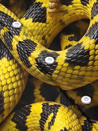 Oceanlyte Men's Printed Yellow Black Snake Print Short Sleeve Shirt with Chest Pocket