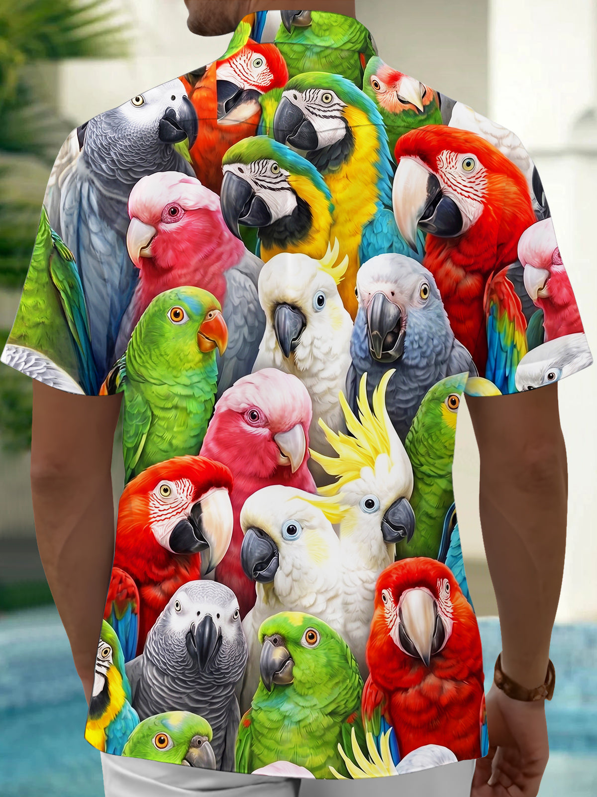 Oceanlyte Men's Hawaiian Colorful Parrots And Cockatoos Print Short Sleeve Shirt with Chest Pocket