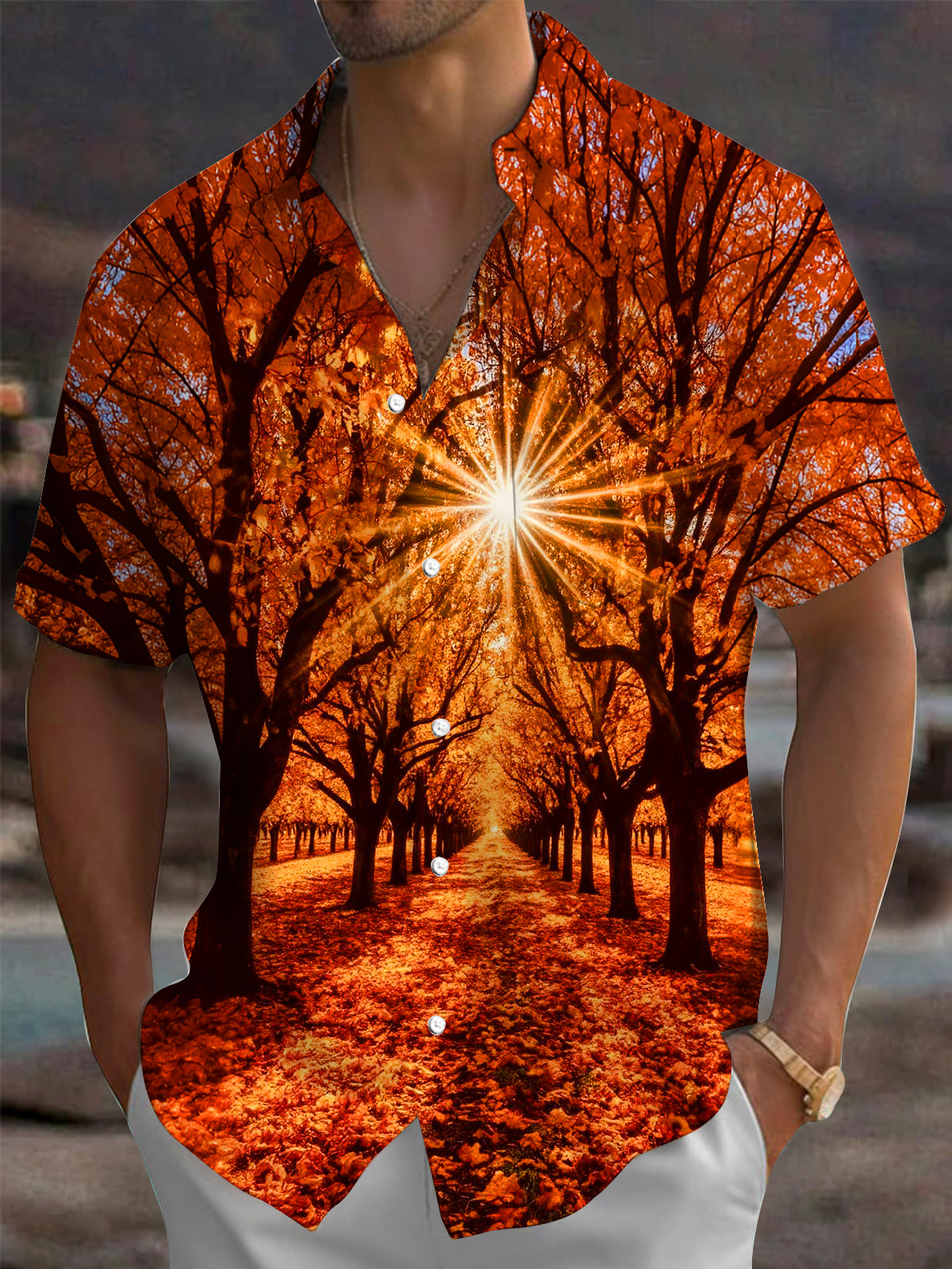 Oceanlyte Men's Printed Autumn Forest Path Print Short Sleeve Shirt with Chest Pocket