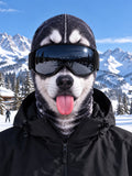 Oceanlyte Dog Ski Mask